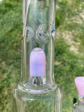 Licit Flamingo Flower Tube