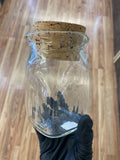 Logan Blows Glass Small Jars