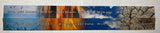 Elements Papers